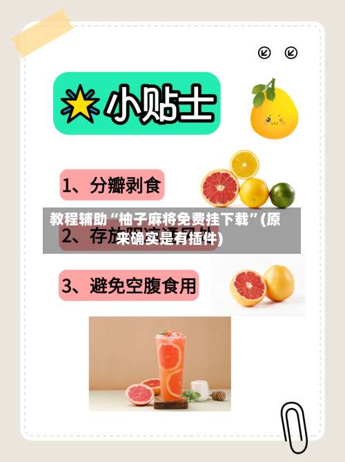 教程辅助“柚子麻将免费挂下载	”(原来确实是有插件)-第1张图片