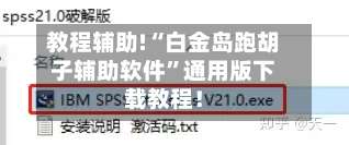 教程辅助!“白金岛跑胡子辅助软件”通用版下载教程！-第2张图片