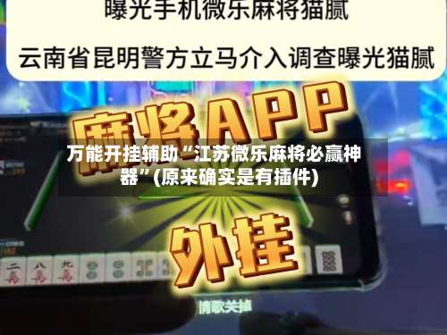 万能开挂辅助“江苏微乐麻将必赢神器	”(原来确实是有插件)-第2张图片