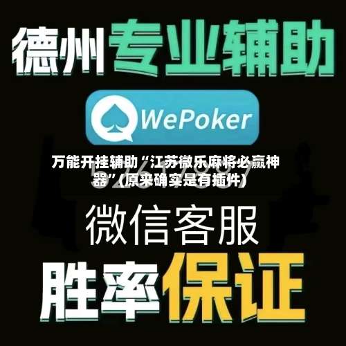 万能开挂辅助“江苏微乐麻将必赢神器”(原来确实是有插件)-第3张图片