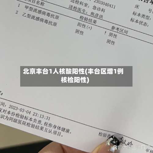 北京丰台1人核酸阳性(丰台区增1例核检阳性)-第3张图片