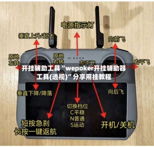 开挂辅助工具“wepoker开挂辅助器工具(透视)”分享用挂教程-第1张图片