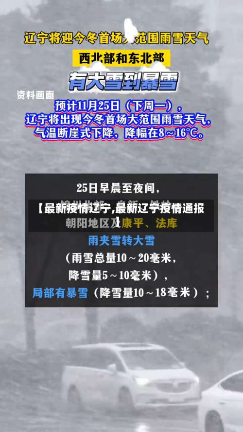 【最新疫情辽宁,最新辽宁疫情通报】-第3张图片