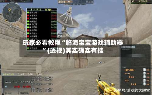 玩家必看教程“临海宝宝游戏辅助器”(透视)其实确实有挂-第2张图片