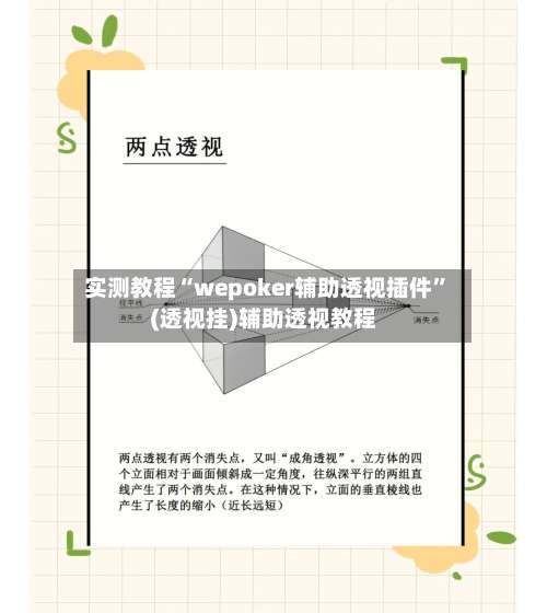 实测教程“wepoker辅助透视插件”(透视挂)辅助透视教程-第1张图片