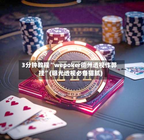 3分钟教程“wepoker德州透视作弊挂	”(曝光透视必备猫腻)-第2张图片