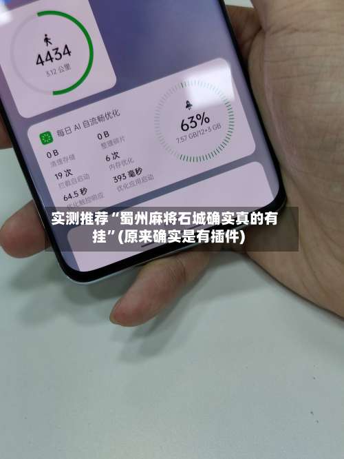 实测推荐“蜀州麻将石城确实真的有挂”(原来确实是有插件)-第1张图片