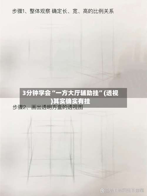 3分钟学会“一方大厅辅助挂”(透视)其实确实有挂-第1张图片