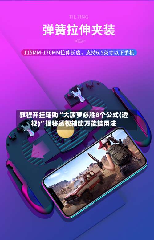 教程开挂辅助“大菠萝必胜8个公式(透视)	”揭秘透视辅助万能挂用法-第1张图片