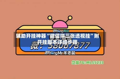 辅助开挂神器“微信拼三张透视挂”附开挂脚本详细步骤-第2张图片