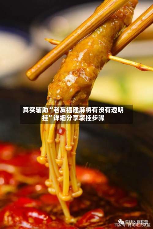 真实辅助“老友福建麻将有没有透明挂”详细分享装挂步骤-第3张图片