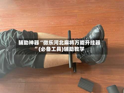 辅助神器“微乐河北麻将万能开挂器	”(必备工具)辅助教学-第1张图片