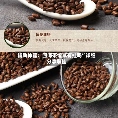 辅助神器：四海茶馆贰有挂吗”详细分享装挂-第2张图片