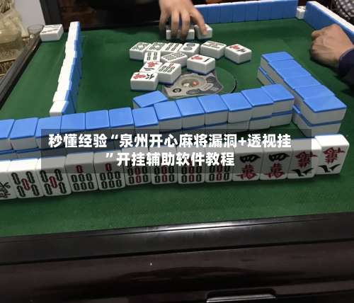 秒懂经验“泉州开心麻将漏洞+透视挂”开挂辅助软件教程-第1张图片