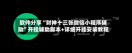 软件分享“财神十三张微信小程序辅助	”开挂辅助脚本+详细开挂安装教程-第3张图片