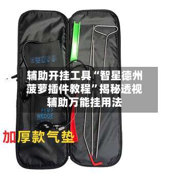 辅助开挂工具“智星德州菠萝插件教程”揭秘透视辅助万能挂用法-第3张图片