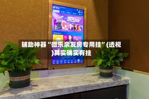 辅助神器“微乐亲友房专用挂”(透视)其实确实有挂-第2张图片