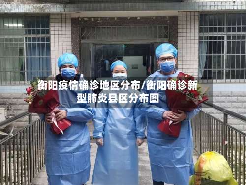 衡阳疫情确诊地区分布/衡阳确诊新型肺炎县区分布图-第2张图片