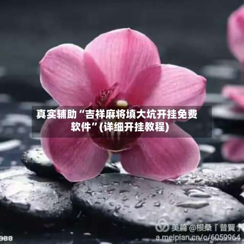 真实辅助“吉祥麻将填大坑开挂免费软件”(详细开挂教程)-第1张图片