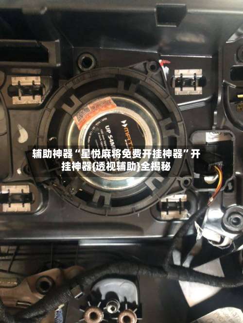 辅助神器“星悦麻将免费开挂神器	”开挂神器{透视辅助}全揭秘-第1张图片