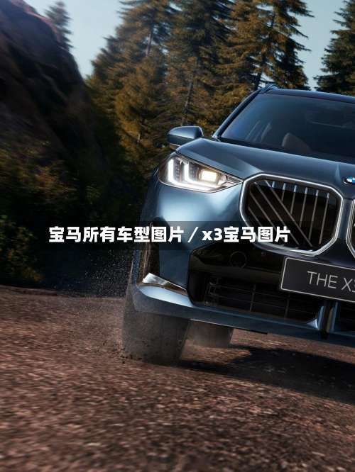 宝马所有车型图片／x3宝马图片-第2张图片