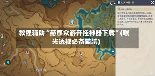 教程辅助“赫麒众游开挂神器下载	”(曝光透视必备猫腻)-第2张图片