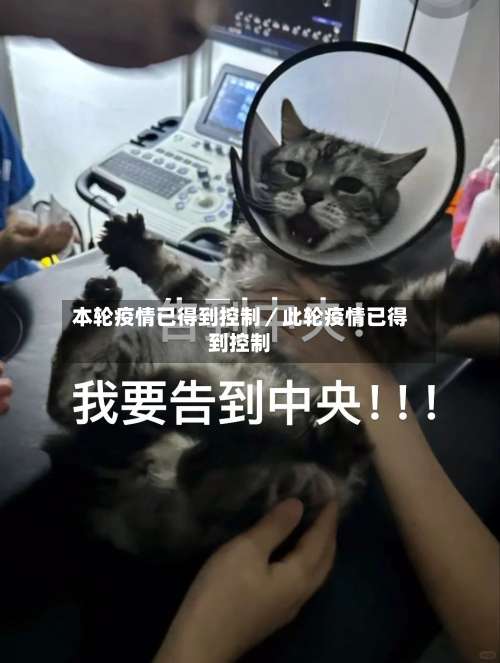 本轮疫情已得到控制／此轮疫情已得到控制-第2张图片