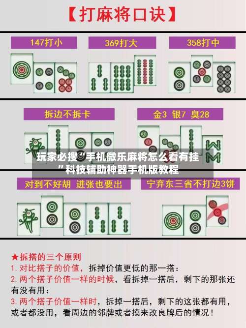 玩家必搜“手机微乐麻将怎么看有挂	”科技辅助神器手机版教程-第2张图片