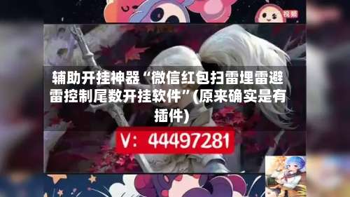 辅助开挂神器“微信红包扫雷埋雷避雷控制尾数开挂软件”(原来确实是有插件)-第1张图片