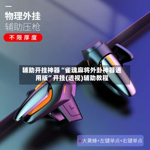 辅助开挂神器“雀魂麻将外卦神器通用版”开挂(透视)辅助教程-第2张图片