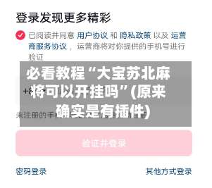 必看教程“大宝苏北麻将可以开挂吗	”(原来确实是有插件)-第2张图片