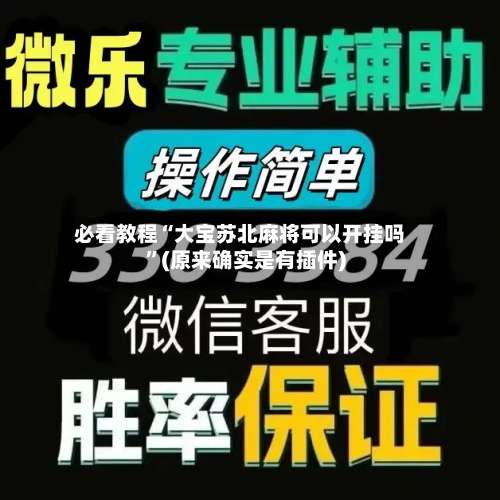 必看教程“大宝苏北麻将可以开挂吗”(原来确实是有插件)-第1张图片