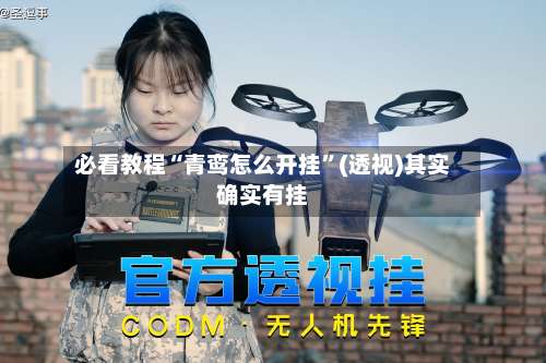 必看教程“青鸾怎么开挂”(透视)其实确实有挂-第1张图片