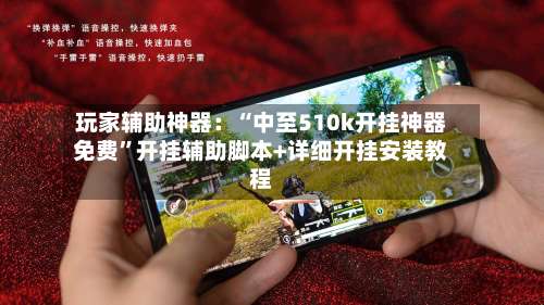 玩家辅助神器：“中至510k开挂神器免费	”开挂辅助脚本+详细开挂安装教程-第2张图片