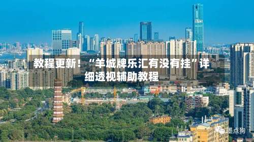 教程更新！“羊城牌乐汇有没有挂”详细透视辅助教程-第2张图片