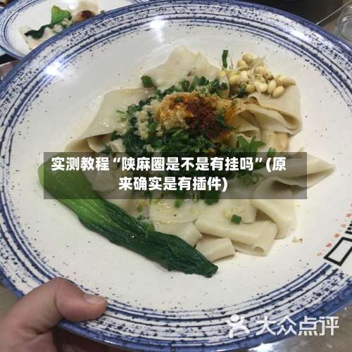 实测教程“陕麻圈是不是有挂吗”(原来确实是有插件)-第2张图片