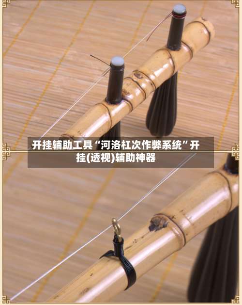 开挂辅助工具“河洛杠次作弊系统”开挂(透视)辅助神器-第1张图片
