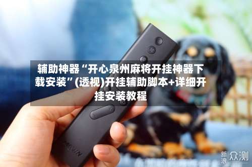 辅助神器“开心泉州麻将开挂神器下载安装”(透视)开挂辅助脚本+详细开挂安装教程-第3张图片