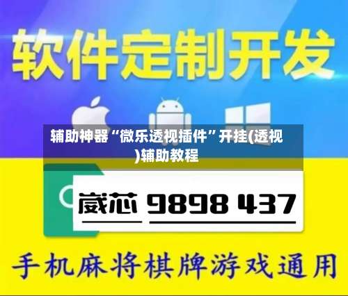 辅助神器“微乐透视插件	”开挂(透视)辅助教程-第1张图片
