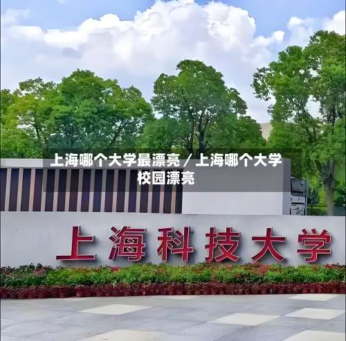 上海哪个大学最漂亮／上海哪个大学校园漂亮-第2张图片