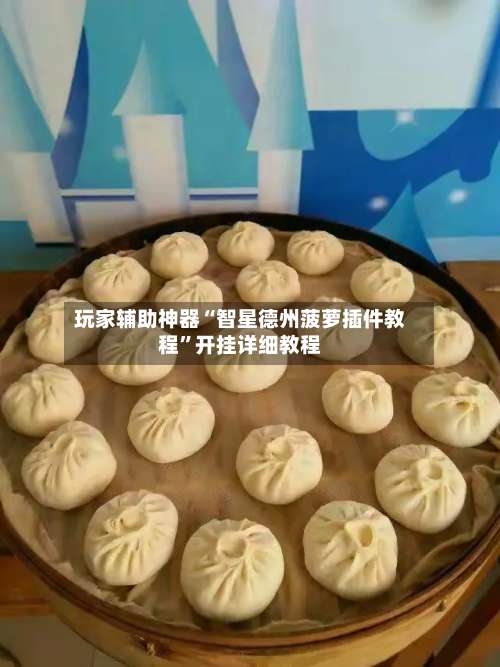 玩家辅助神器“智星德州菠萝插件教程”开挂详细教程-第1张图片