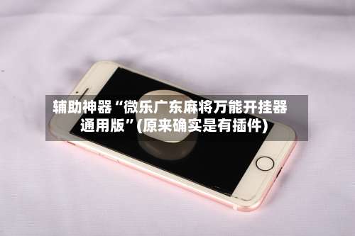 辅助神器“微乐广东麻将万能开挂器通用版	”(原来确实是有插件)-第2张图片