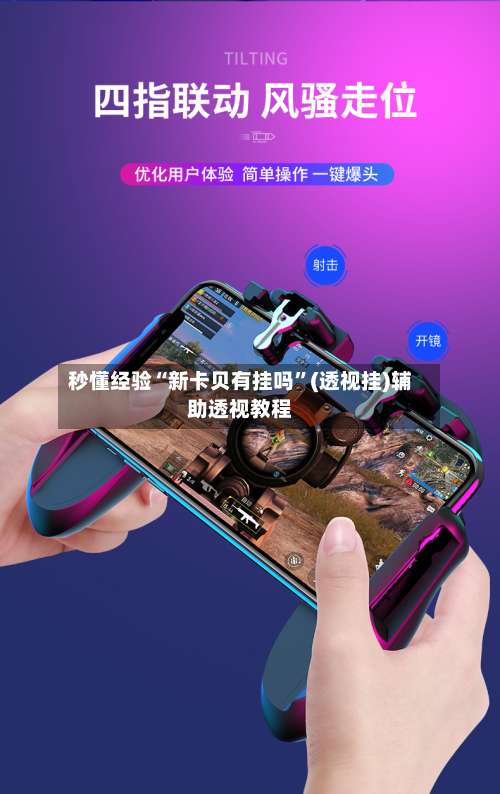 秒懂经验“新卡贝有挂吗”(透视挂)辅助透视教程-第3张图片