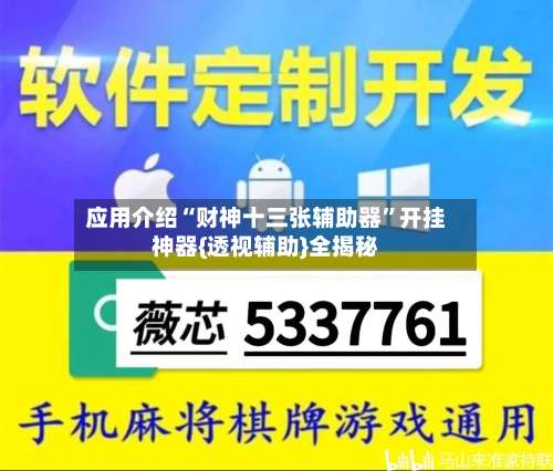 应用介绍“财神十三张辅助器	”开挂神器{透视辅助}全揭秘-第2张图片