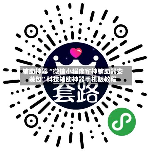 辅助神器“微信小程序雀神辅助器安装包”科技辅助神器手机版教程-第3张图片