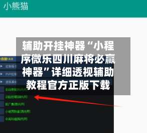 辅助开挂神器“小程序微乐四川麻将必赢神器	”详细透视辅助教程官方正版下载-第2张图片