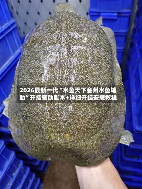 2026最新一代“水鱼天下金州水鱼辅助	”开挂辅助脚本+详细开挂安装教程-第1张图片