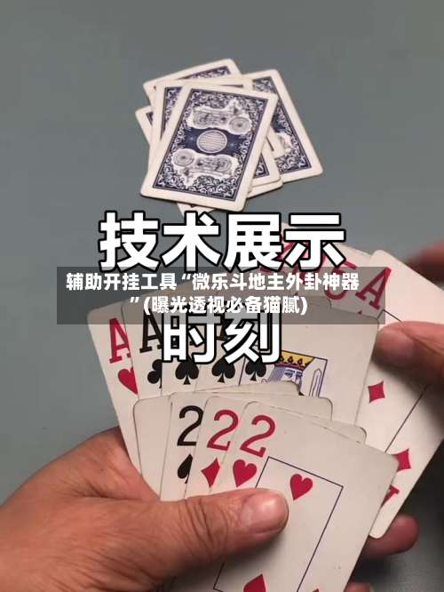 辅助开挂工具“微乐斗地主外卦神器”(曝光透视必备猫腻)-第1张图片