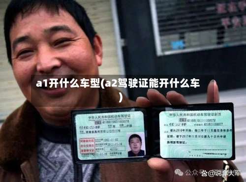 a1开什么车型(a2驾驶证能开什么车)-第2张图片