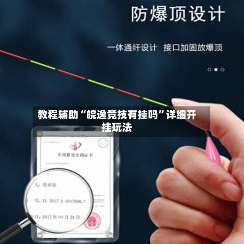 教程辅助“皖逸竞技有挂吗”详细开挂玩法-第3张图片